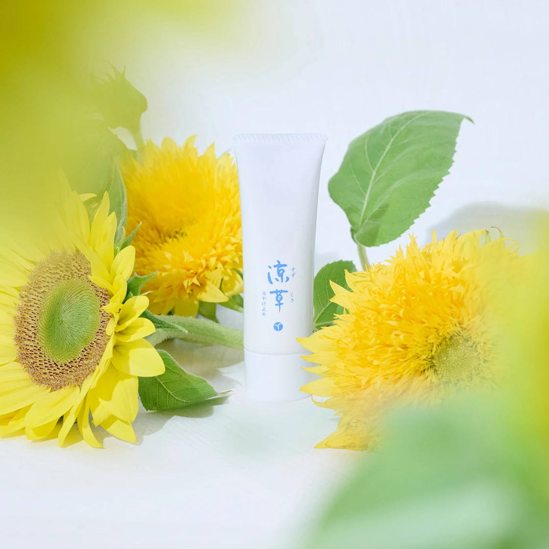 涼草 ｜ akyrise / アキュライズ｜シンプルスキンケア｜公式