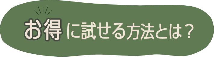 1番お得に試せる方法とは？